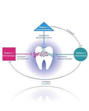CURAPROX Зубная паста Enzycal 1450