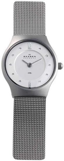 Наручные часы Skagen 233XSSS1