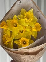 Кулек из нарциссов