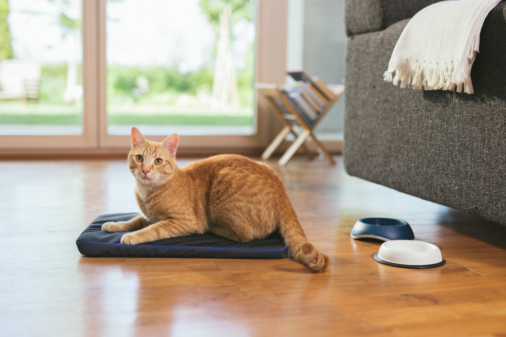 Коврик для домашних животных Pets PEMF