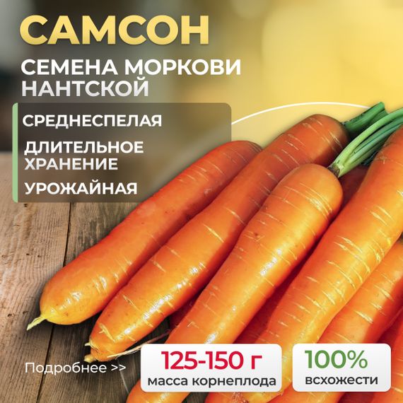 САМСОН_семена_моркови_нантской_Bejo_семена_оптом