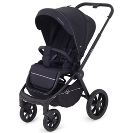 Детская коляска Rant Flex 2 в 1 RA076 Black