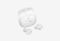 JBLTBUDS2WHT_0126522102156