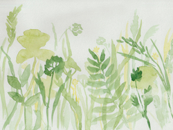 Коллекция WATERCOLOR21