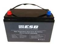 Тяговая аккумуляторная батарея ESB HTL12-110