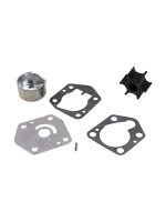 Ремкомплект помпы DT9.9A/DT15A