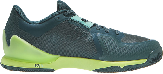 Кроссовки мужские Head Sprint Pro 3.5 Clay, арт. 273143-FGLN