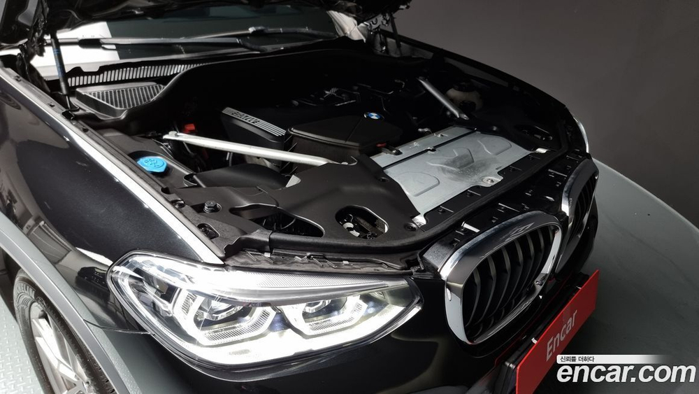 BMW X4 (G02) xDrive20i M Sports X Online Exclusive Editions (09.2021)