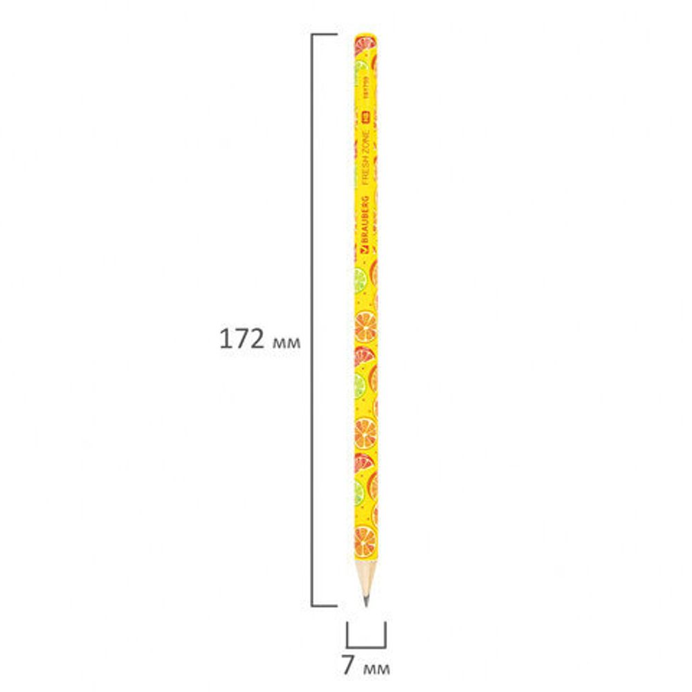 Карандаш чернографитный BRAUBERG "FRESH ZONE", 1 шт., HB, корпус ассорти, 181759