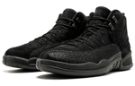 Кроссовки Jordan Air Jordan 12 Retro Ovo Black 2017