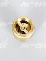 Belamos Обратный клапан 1" НР-ВР с латунным седлом (FV-D 1)