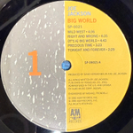 Виниловая пластинка Joe Jackson ‎– Big World 2LP