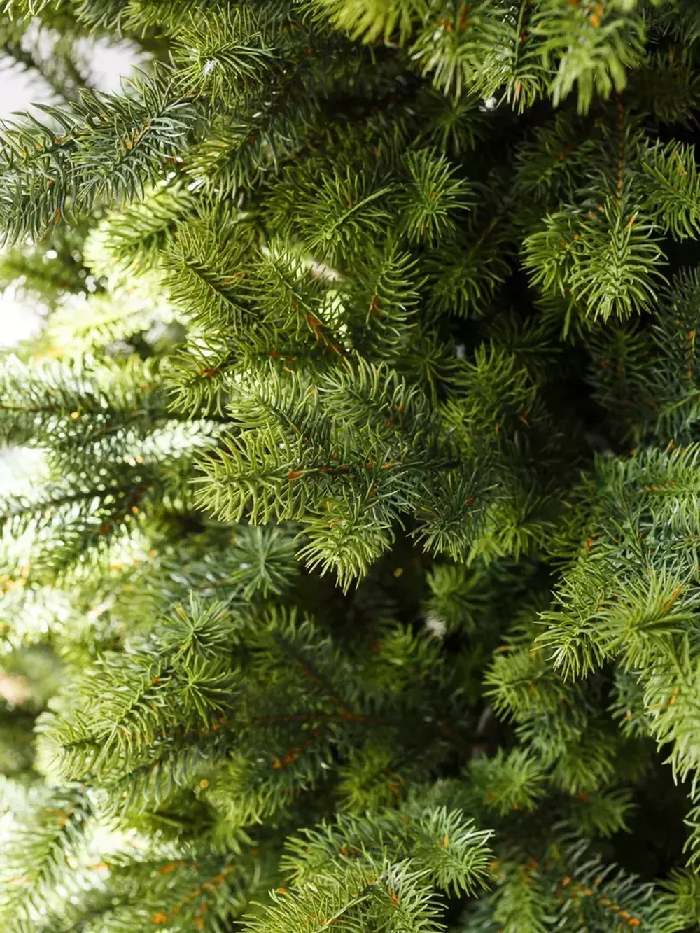 Искусственная узкая елка «Монте» (Литая хвоя) от 1,2 м до 2,1 м