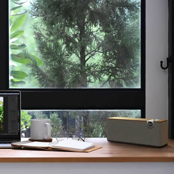 Портативная колонка Klipsch The One+ Matte Black