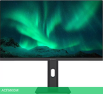 Монитор Raskat I24F10DAP