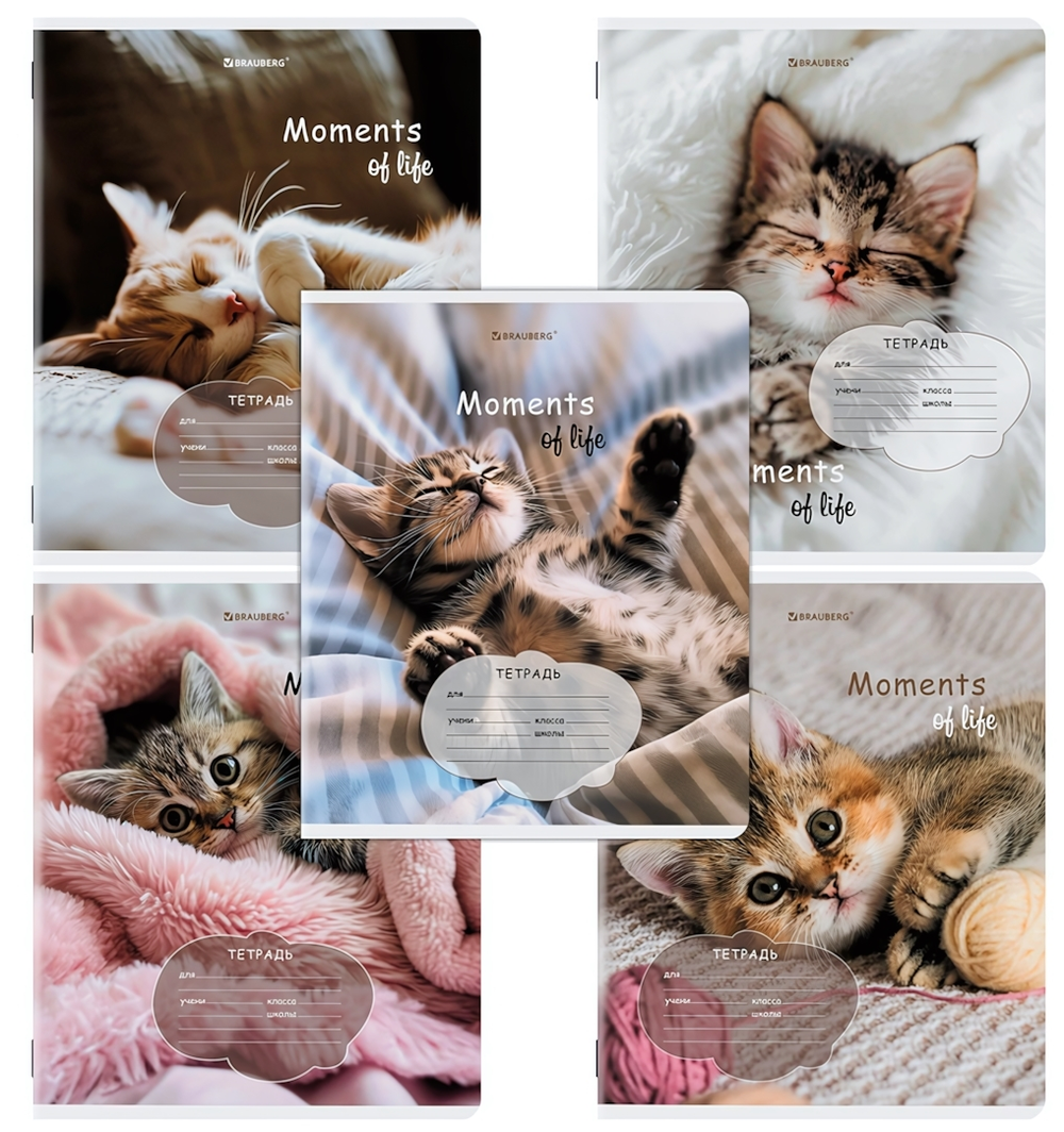 Тетрадь А5 18л. клет. "Котята" обложка картон (BRAUBERG)