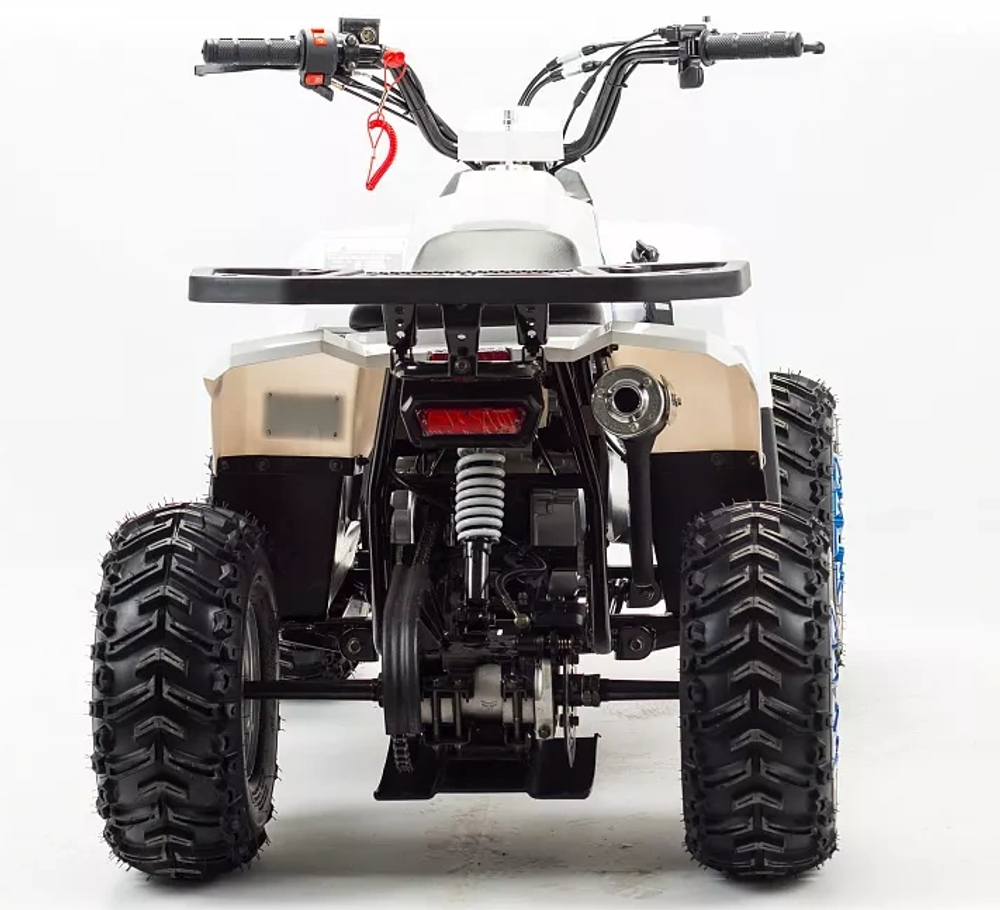 Квадроцикл MOTOLAND (МОТОЛЕНД) 110 EAGLE