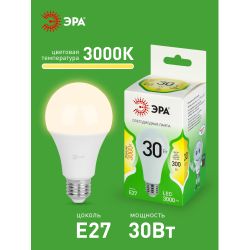 Лампа светодиодная ЭРА GREEN LINE LED A65-30W-830-E27 GL 30Вт груша теплый свет E27 | Лампы cветодиодные Груша (A)