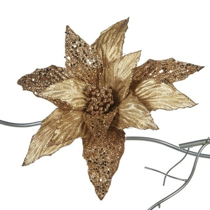 Пуансеттия золото/шампань  [Арт. FF99018]