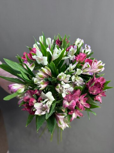 Букет с 15 альстромериями под ленту