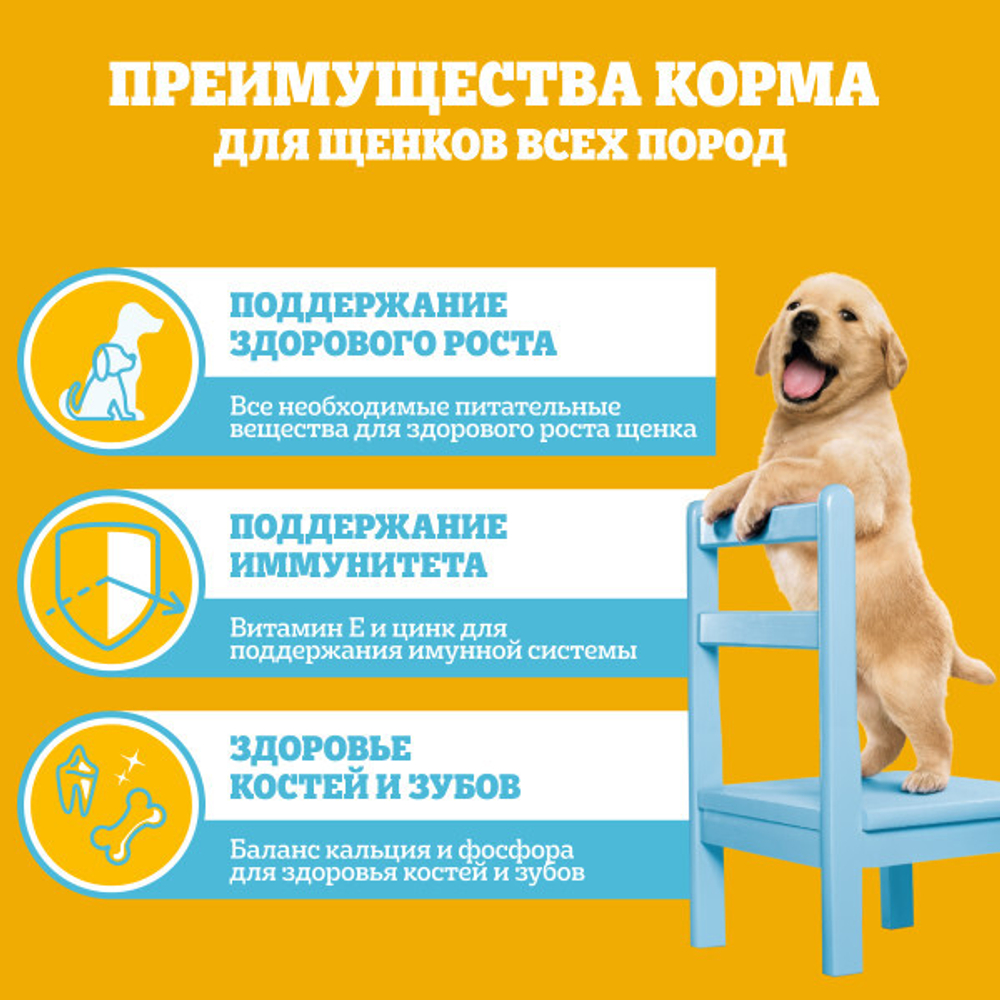 Влажный корм для щенков PEDIGREE с говядиной в соусе 85 г