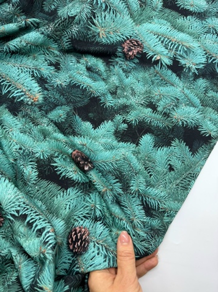 Футер 2 нитка Новогодняя белка компаньон