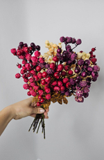 Ягоды / Арт 8052