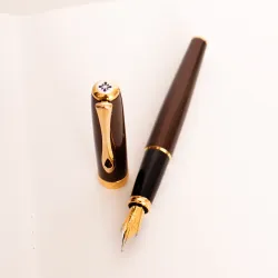 Перьевая ручка Diplomat Excellence A2 Marrakesh brown gold F 14ct. (D40213013) 6