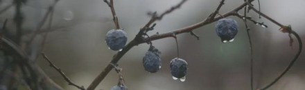 Декор Тракай 8 глянцевый (OS\A120\9016)