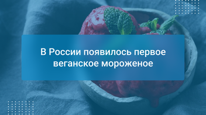 В России появилось первое веганское мороженое