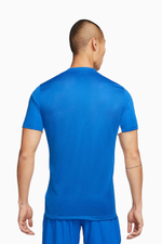 Футболка Nike Dri-FIT Challenge V