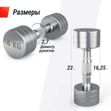 Гантель UNIX Fit PRO круглая хромированная 4 кг, 2 шт.