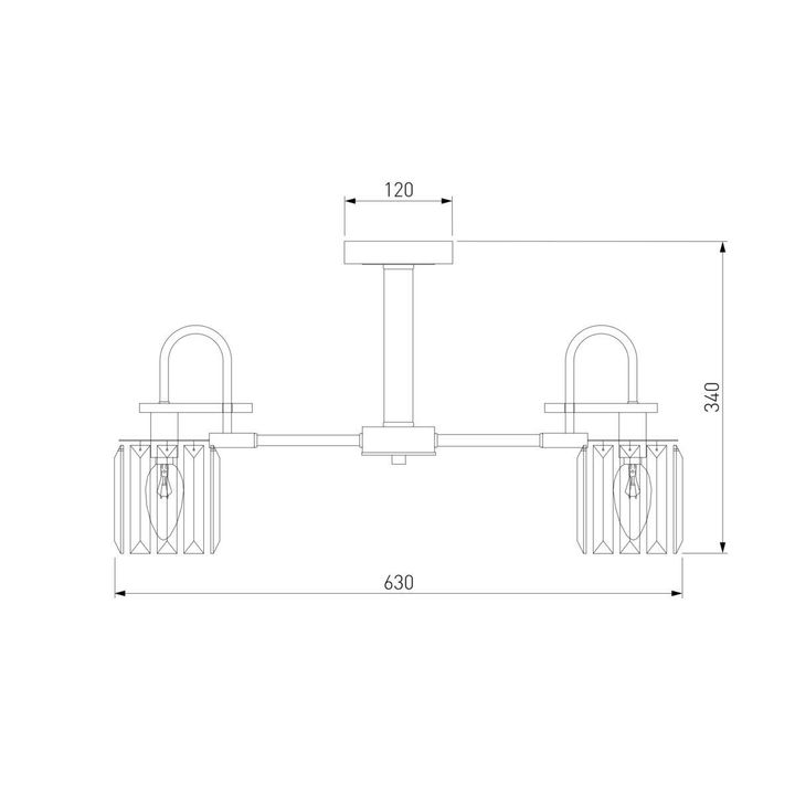 Потолочная люстра Eurosvet Tenia 70090/5 черный