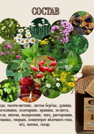 Гинкго билоба — улучшает мозговое кровообращение, внимание и память.