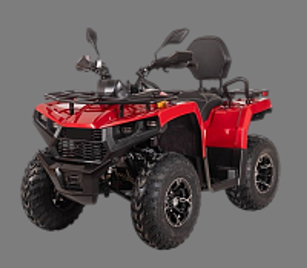 Квадроцикл Bizon YK250 LUX EFI