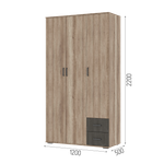 Шкаф Нельсон ШК 01 Дуб каньон/Железный камень