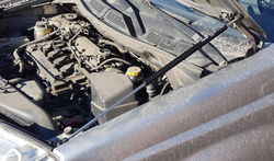 Амортизатор (упор) капота на Nissan X-Trail 01-04(с 2001 по 2007 г.в.)Autoinnovation