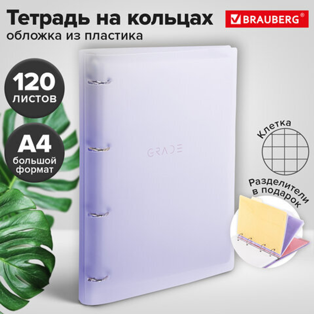 Тетрадь на кольцах БОЛЬШАЯ 305х235мм А4, 120л, пластик, с разделителями, BRAUBERG, Фиолетовый,404623