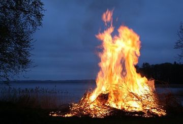 Зелёный шум – древнейшее средство для глубокой релаксации и укрепления здоровья