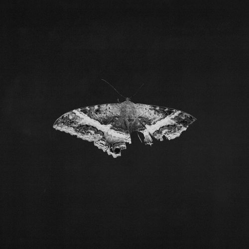 Kendrick Lamar - To Pimp A Butterfly - 10th Anniversary, Alternative Cover