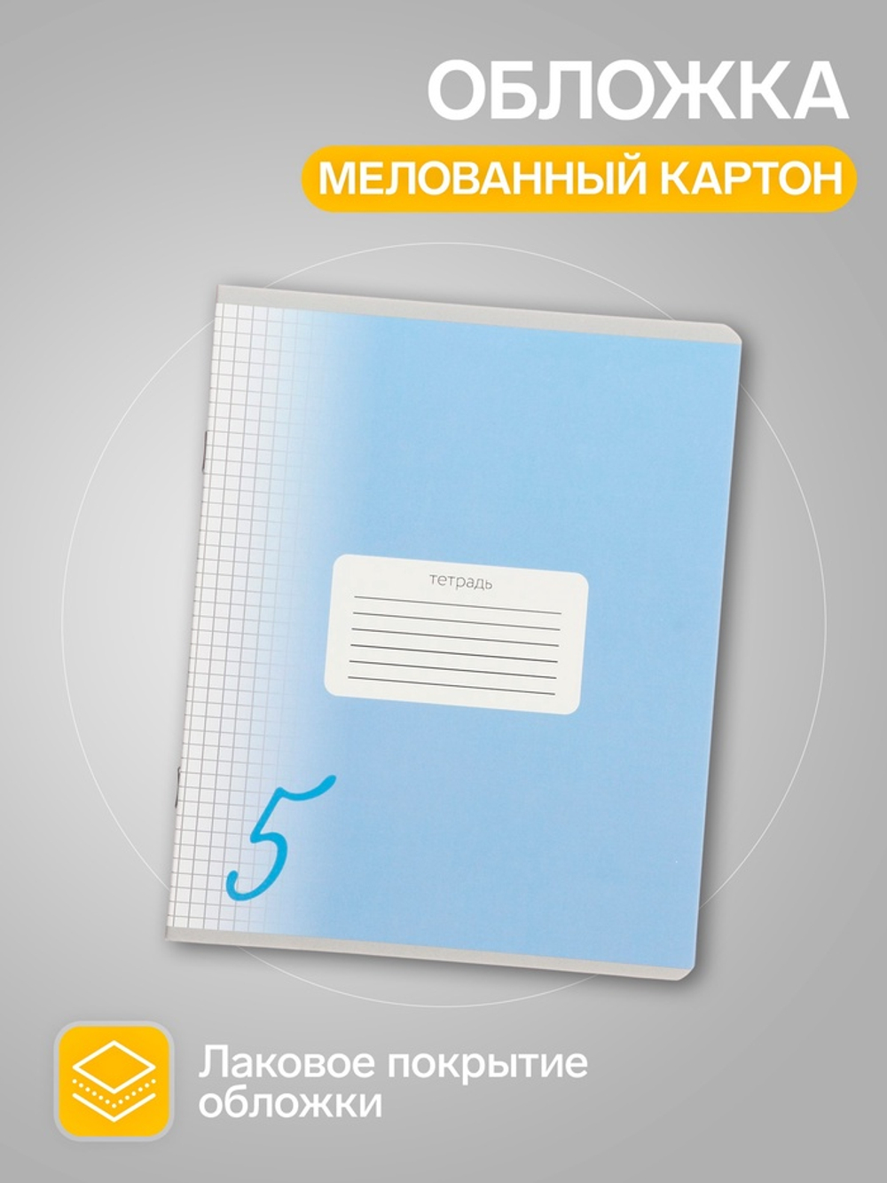 Тетради 10 штук, 24 листа в клетку Calligrata «Пятёрка»