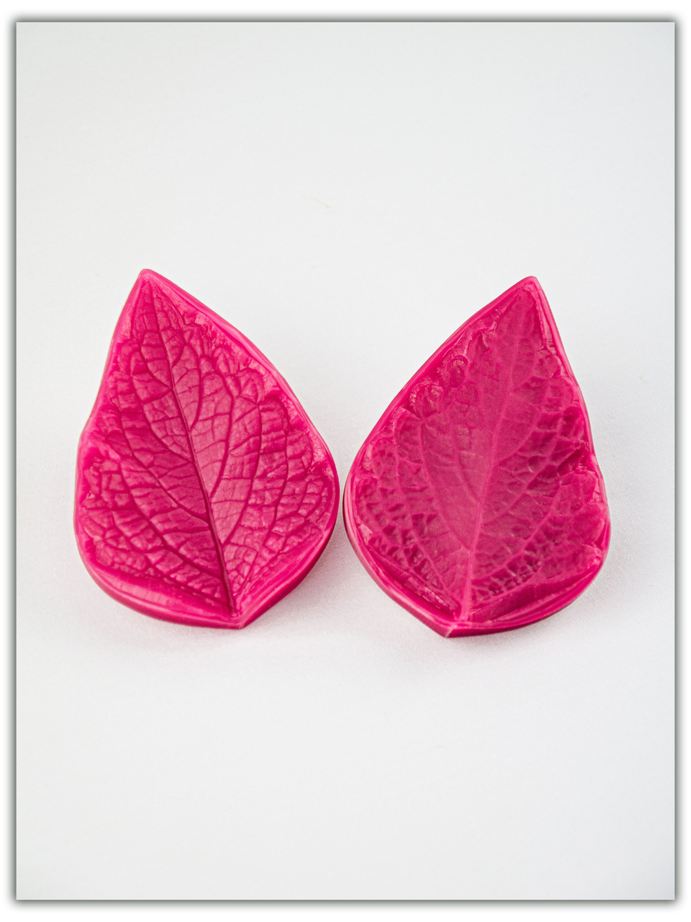 Колеус. Сорт 1