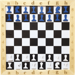 Игровая магнитная панель Шахматы и шашки