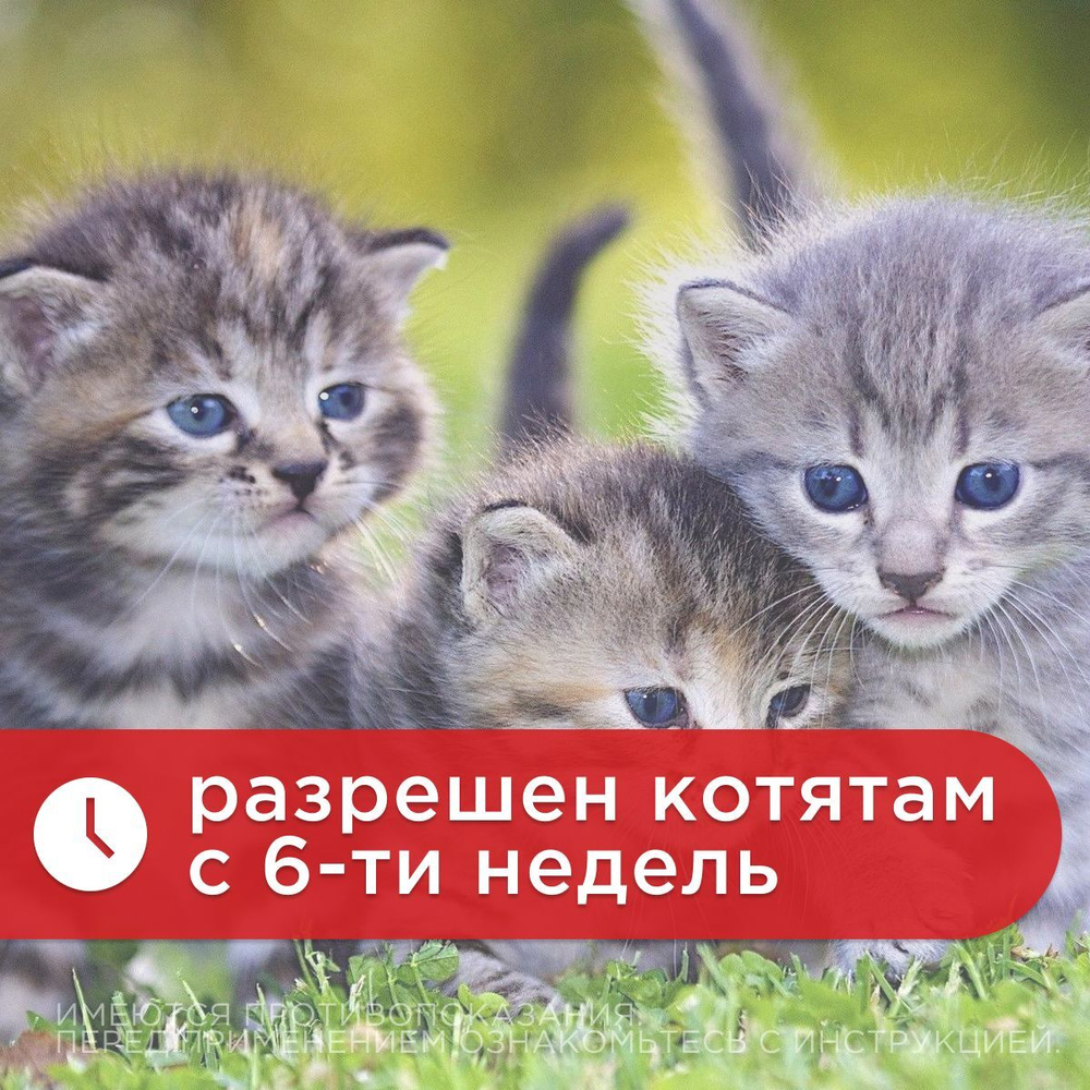 Таблетки от гельминтов и глистов Гельмимакс-4 для взрослых кошек и котят до 4кг 2 таблетки 120мг с ароматом курицы