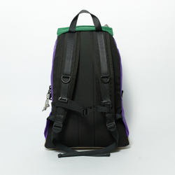 Рюкзак Citypack Color Block фиолетовый