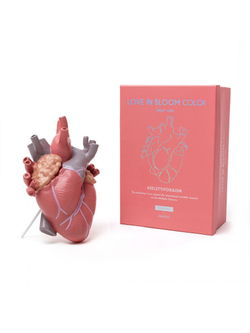 Ваза Love in Bloom Color