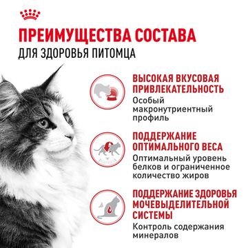 Royal Canin Instinctive влажный корм в Соусе для кошек и котов старше 1 года