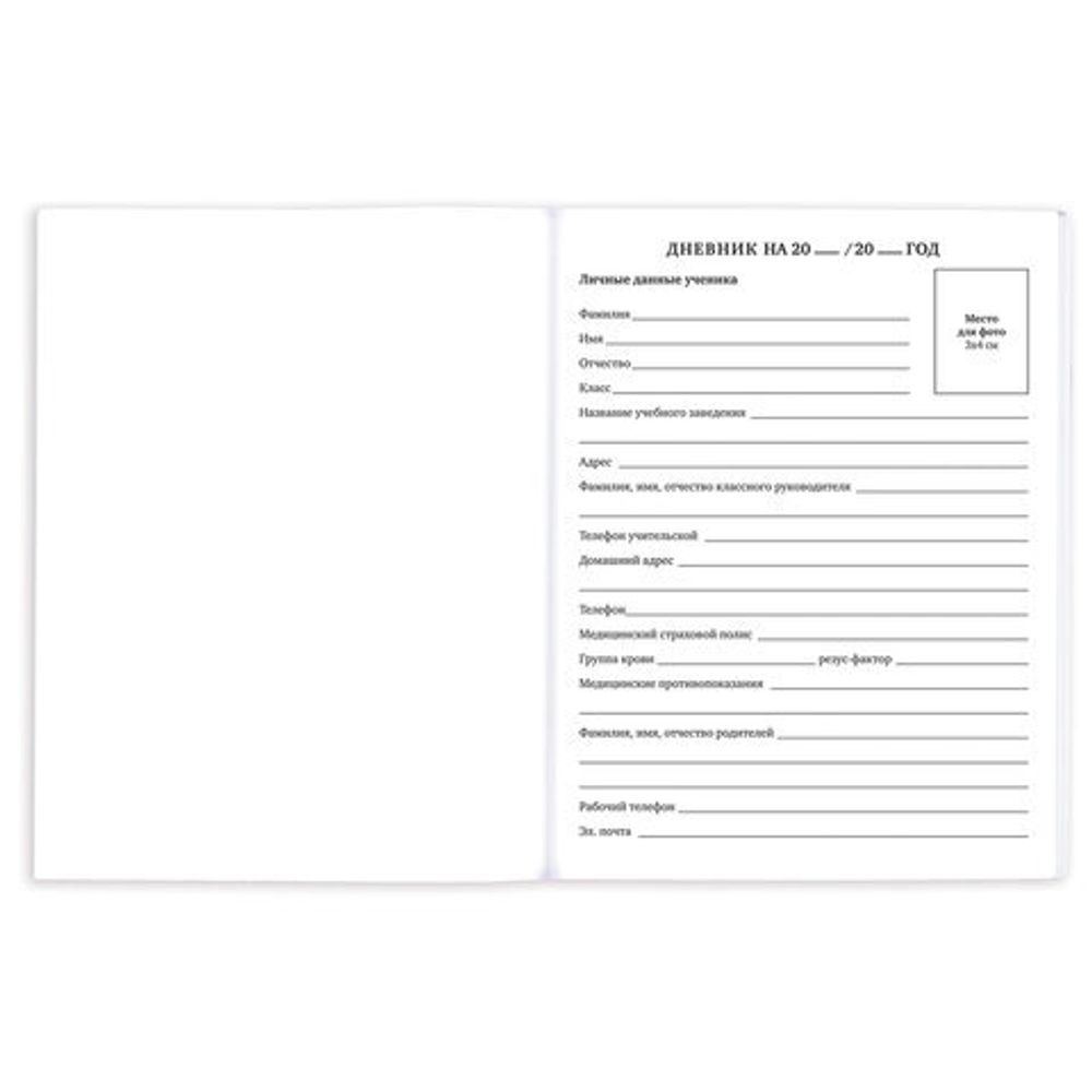 Дневник 1-11 класс 40 л., на скобе, ПИФАГОР, обложка картон, "Девочка", 106583