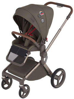 Детская коляска Anex Flo 2 в 1 Cesar