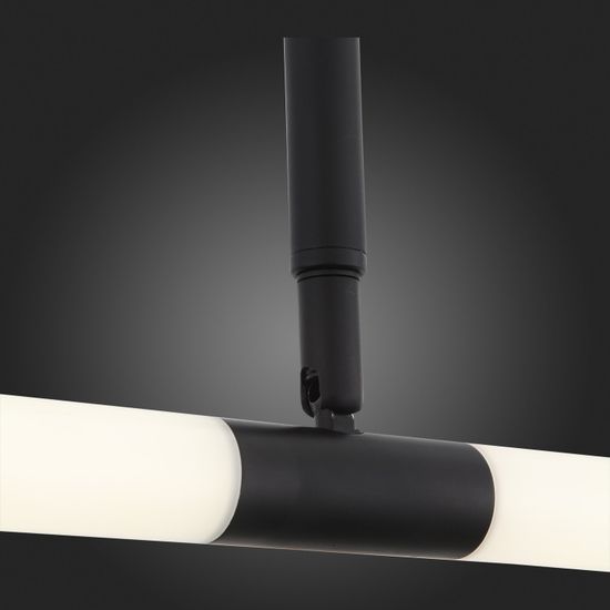 SL393.403.02 Светильник потолочный ST-Luce Черный/Белый LED 2*10W 4000K BISARIA